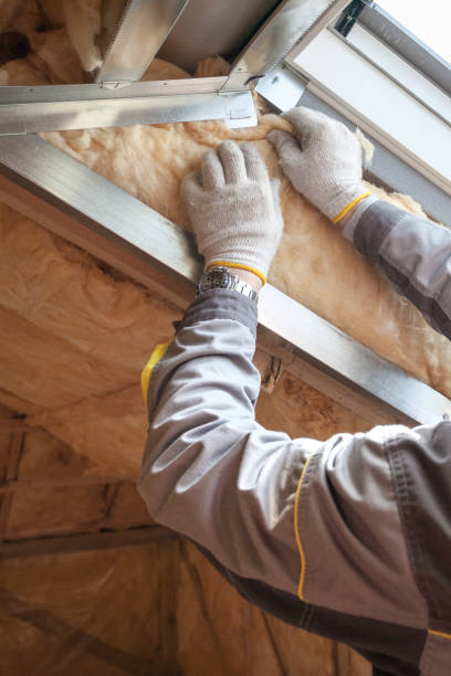 Best Specialized Insulation Services in Pasadena Hills, MO