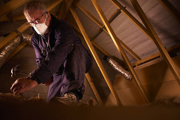 Best Cellulose Insulation in Pasadena Hills, MO